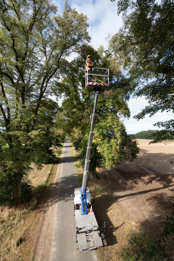 Foto Reportage - Fachzeitschrift Forst und Technik - Baumpflege hoch oben