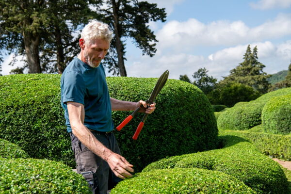Gärtner beim Formschnitt, Topiary der Firma LCDPM Paysage