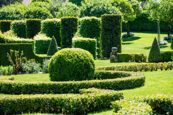 Gartenfoto Gärten von Eyrignac - Formschnitt