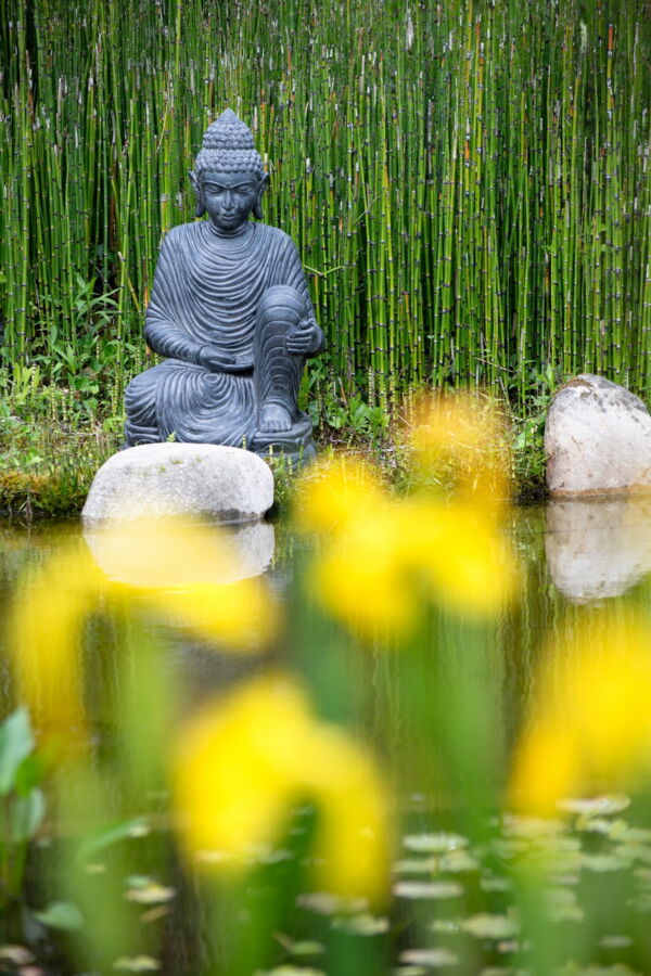 Gartefotografie Wassergarten - Japanischer Garten, fotowild