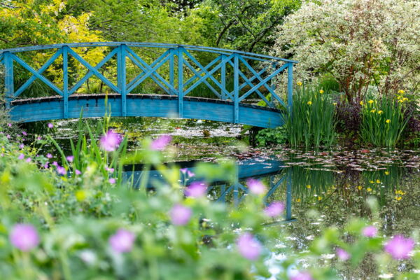 Wassergarten - Foto - Reisefotografie